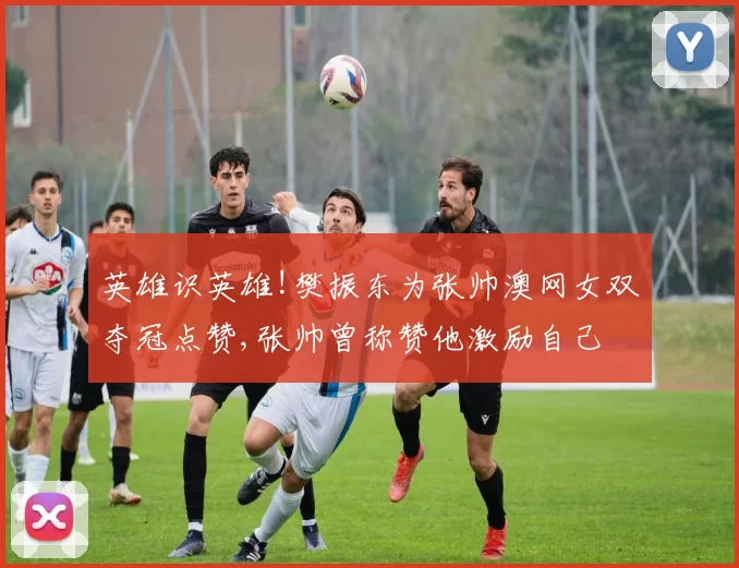 英雄识英雄!樊振东为张帅澳网女双夺冠点赞,张帅曾称赞他激励自己