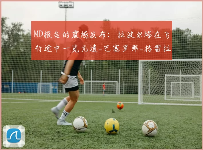 MD报告的震撼发布：拉波尔塔在飞行途中一览无遗_巴塞罗那_格雷拉_裁判