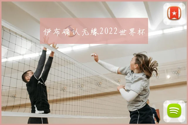 伊布确认无缘2022世界杯
