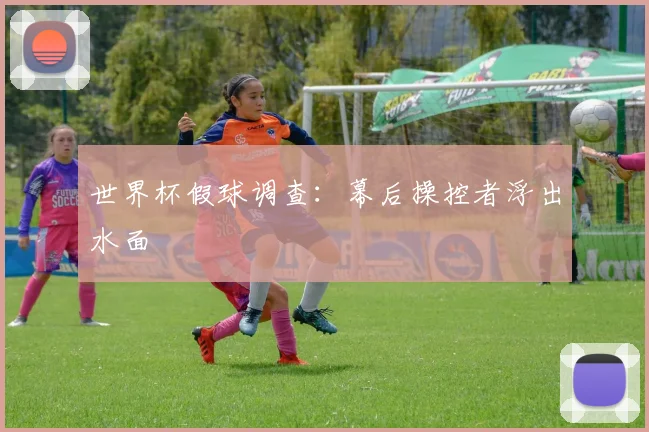 世界杯假球调查：幕后操控者浮出水面
