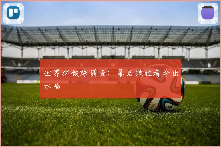 世界杯假球调查：幕后操控者浮出水面