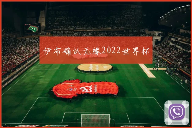 伊布确认无缘2022世界杯