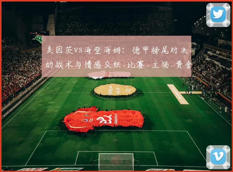 美因茨vs海登海姆：德甲榜尾对决的战术与情感交织_比赛_主场_费舍尔