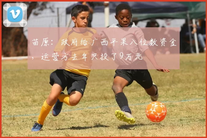苗原：政府给广西平果八位数资金，运营方去年只投了9万元