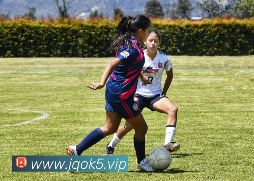 KAIYUN(中国大陆)体育科技有限公司官网服务体系